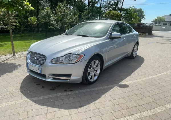 jaguar xf wielkopolskie Jaguar XF cena 15900 przebieg: 230000, rok produkcji 2008 z Karlino